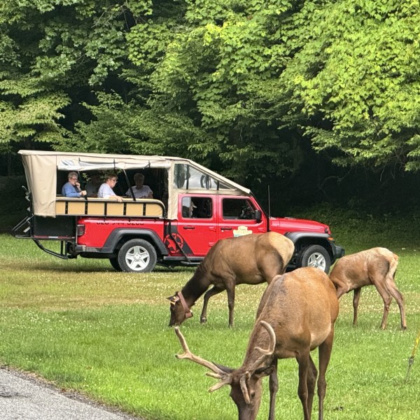 a group of people walking in front of a truck