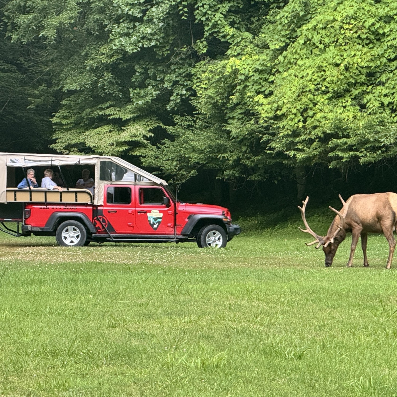 a truck is parked on the side of a lush green field