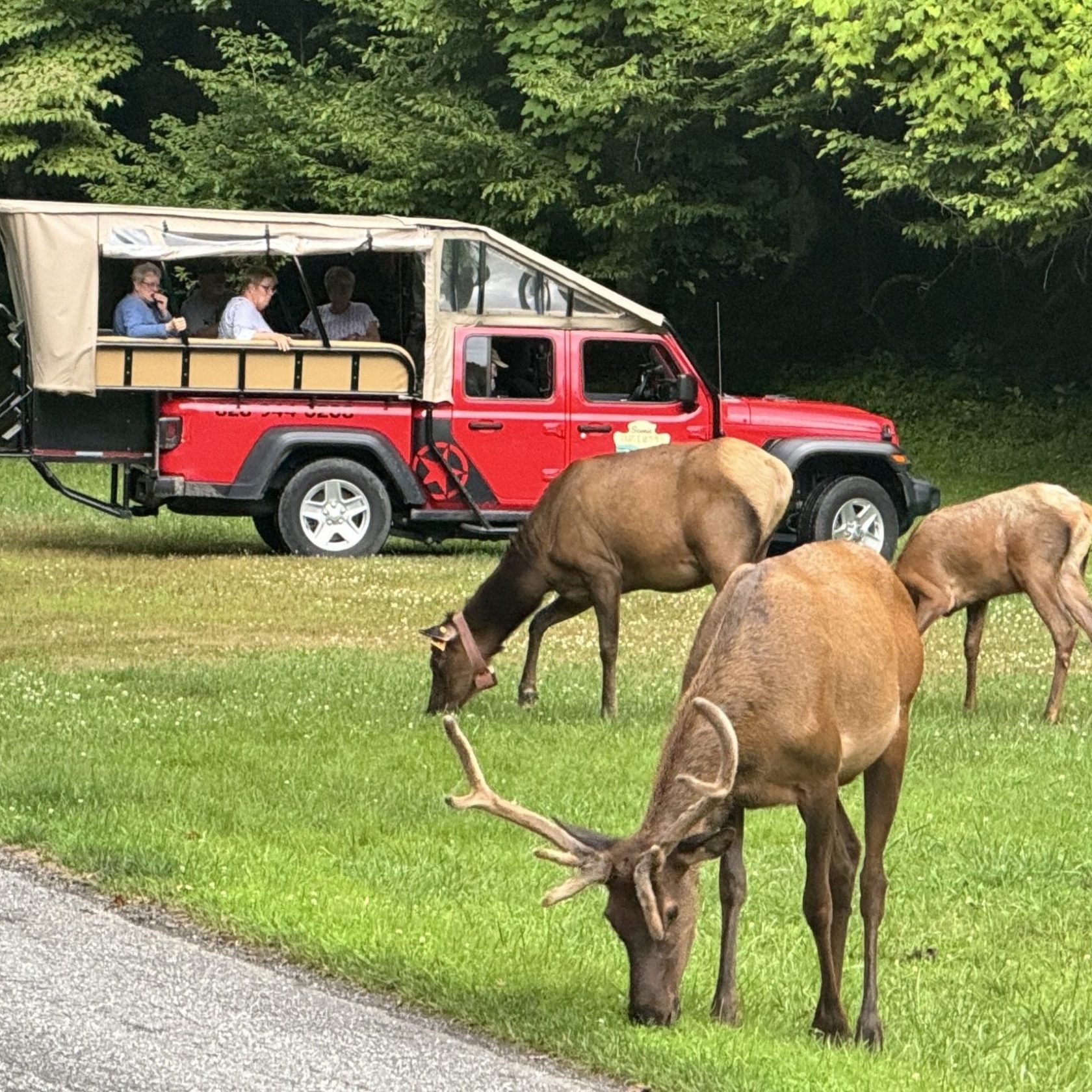 a group of people walking in front of a truck