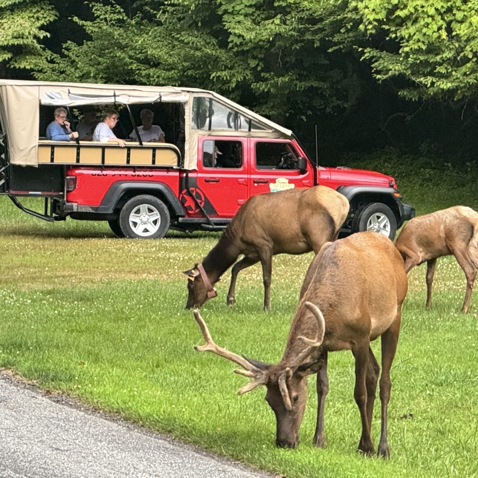 a group of people walking in front of a truck
