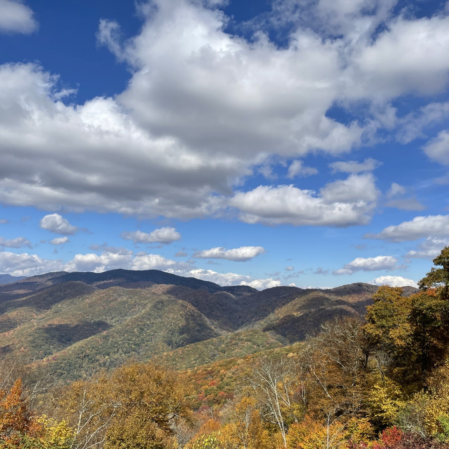 a view of a large mountain in the background